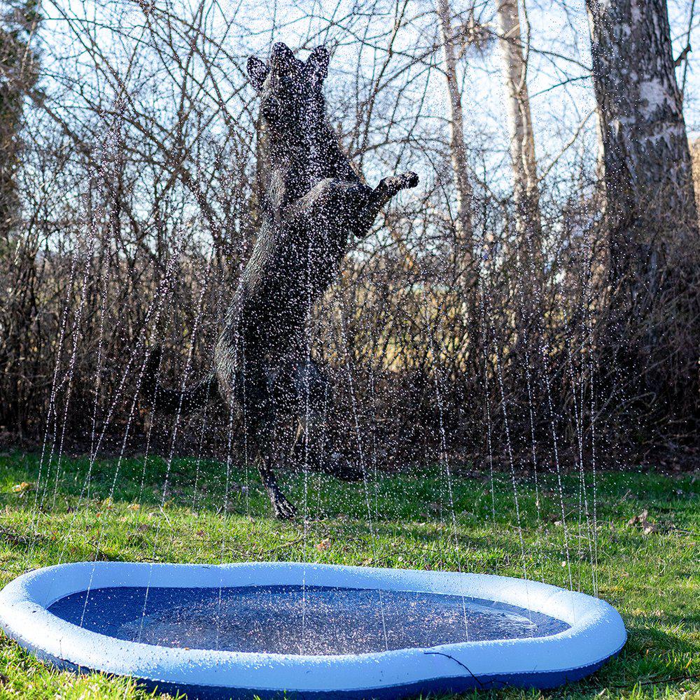 Ozami Splash koiran suihkulähdeallas