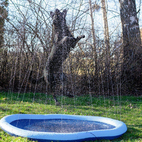 Ozami Splash koiran suihkulähdeallas