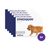 Synoquin Growth koiralle 5 x 60 tablettia SÄÄSTÖPAKKAUS