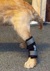 Taituki Akillesjännetuki takajalka XS