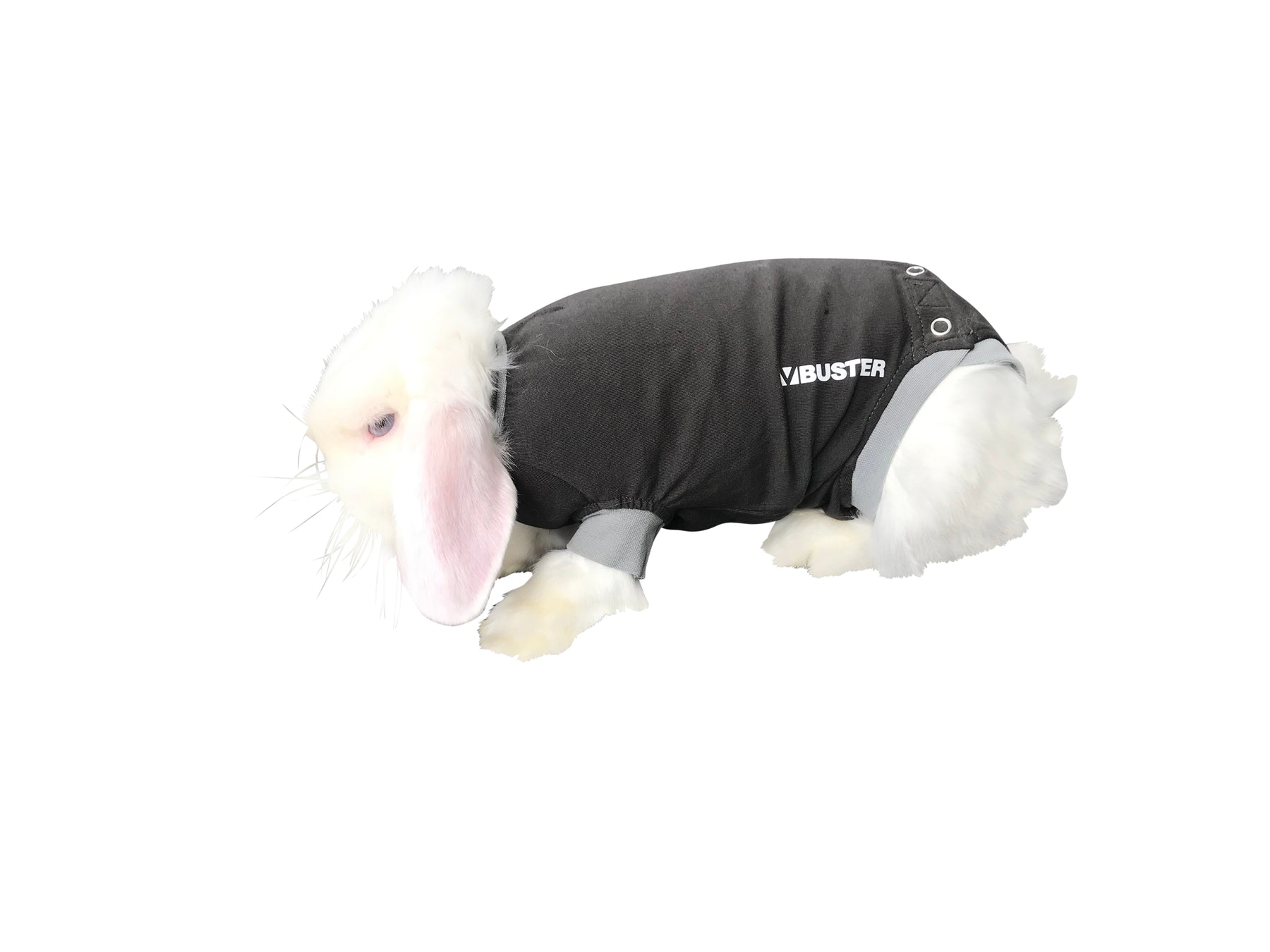 Buster toipilaspuku kanille M