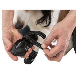 Trixie Walker Active tossut S-M 2 kpl