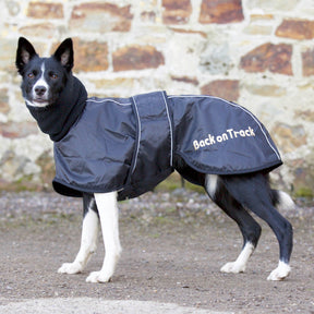 Back on Track Whippet-takki