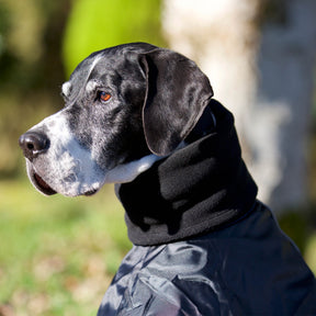 Back on Track Whippet-takki